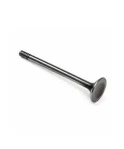 A2640531200 - Exhaust Valve