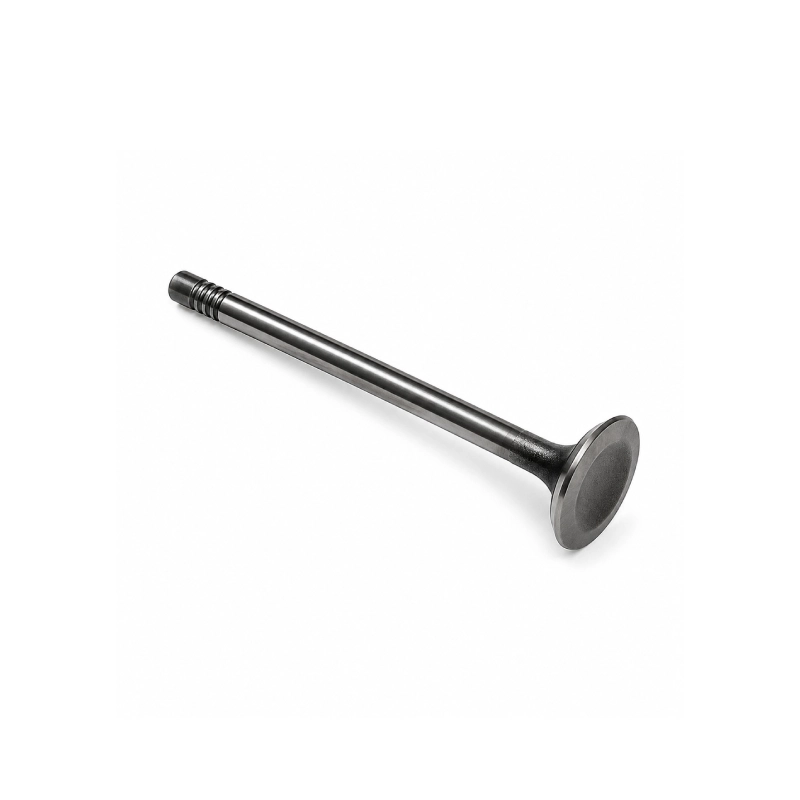 A2640531200 - Exhaust Valve